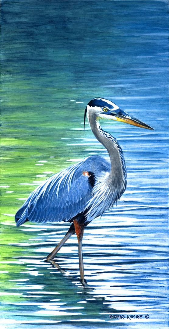 Blue Heron