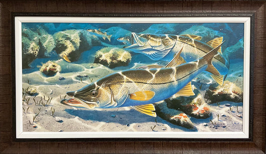 Snook - Framed Canvas Edition, Signed and Numbered