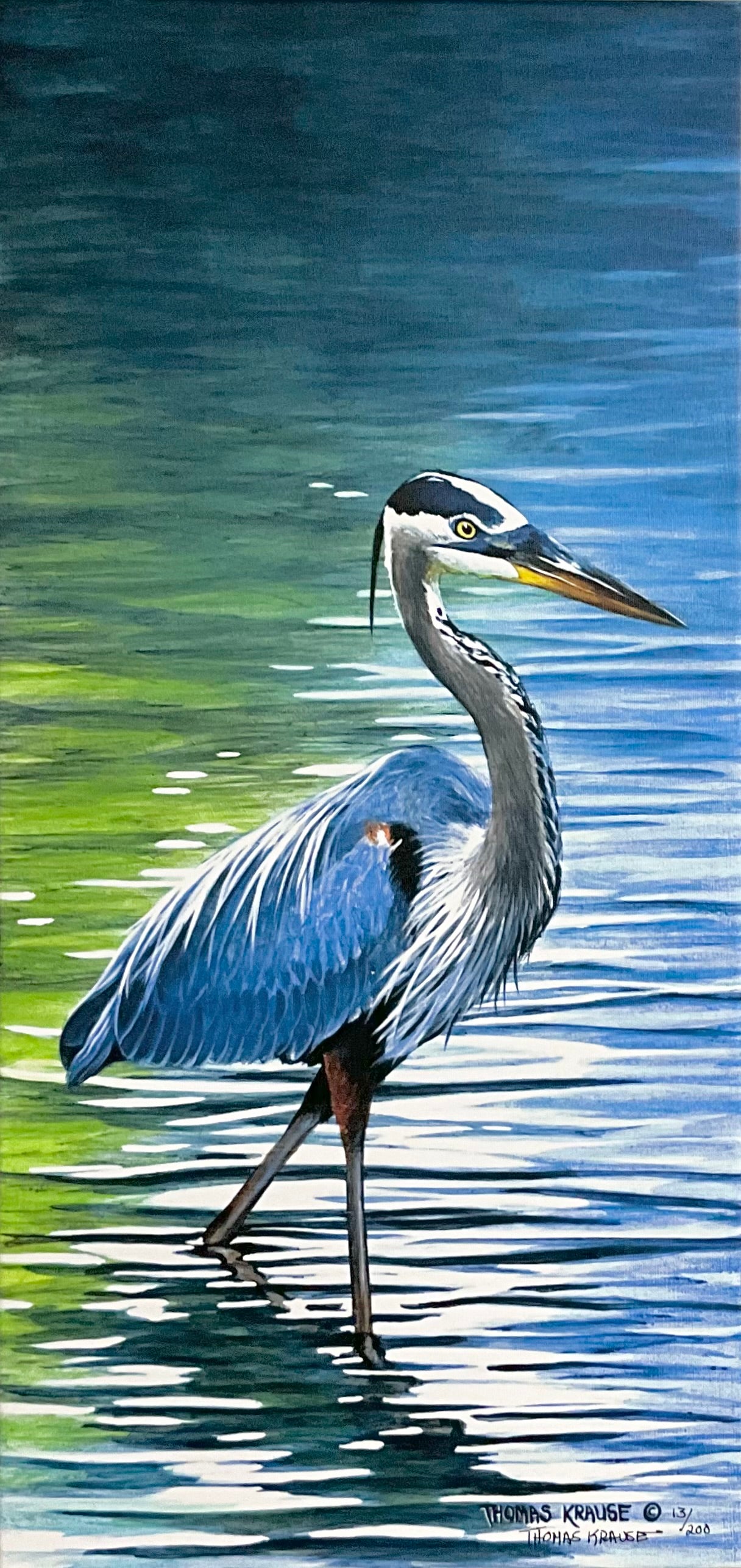 Blue Heron - Framed Gallery Wrap Canvas, Signed and Numbered