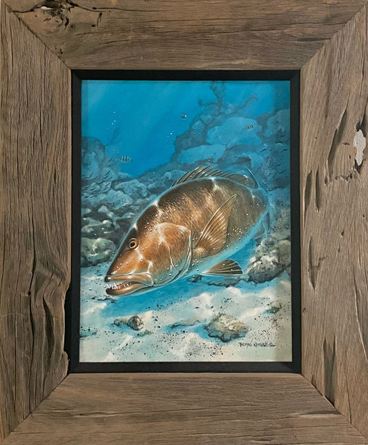 “Cubera Snapper” - "Original"