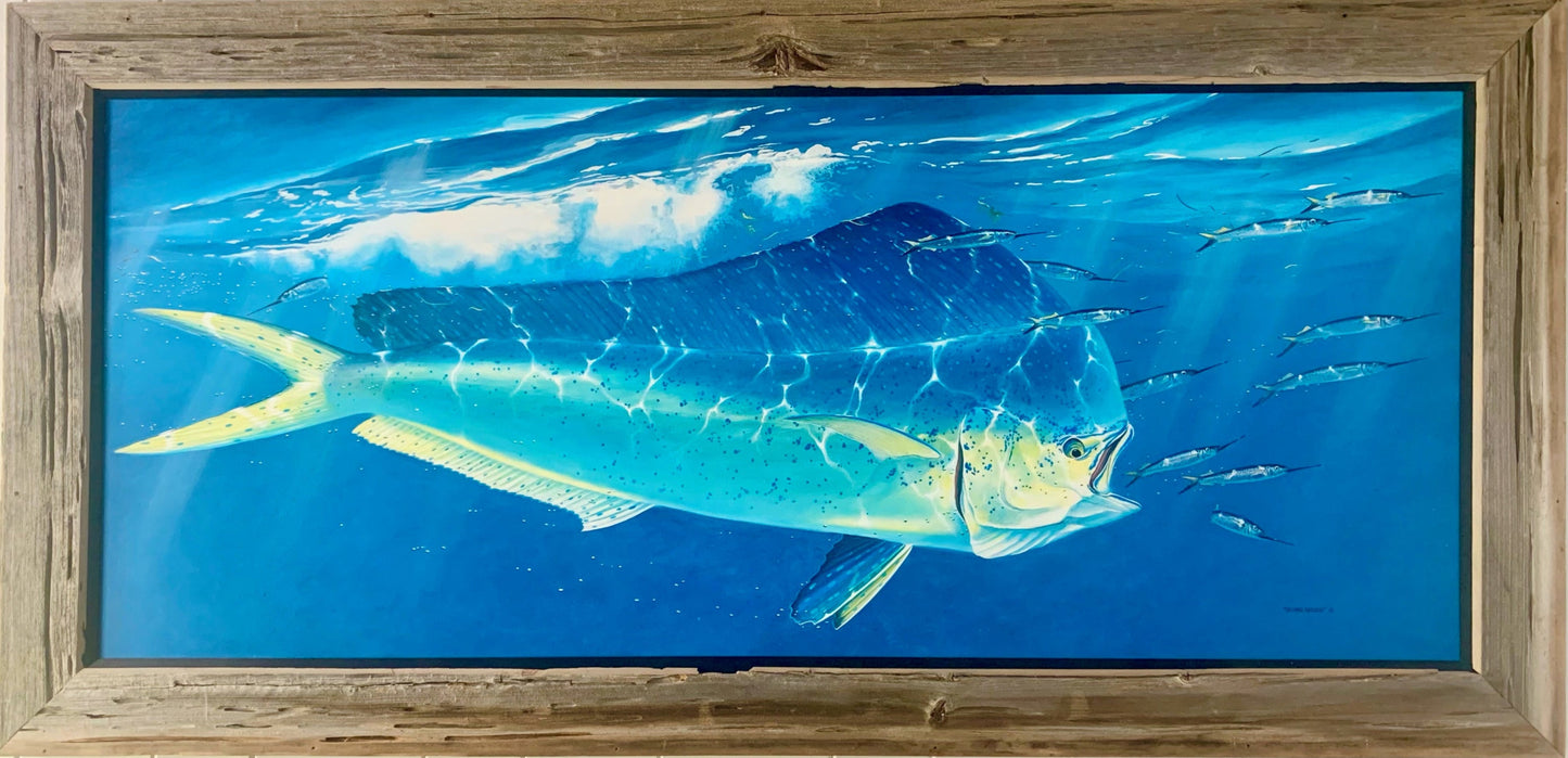 “Surface Strike” - Bull Dolphin - "Original"