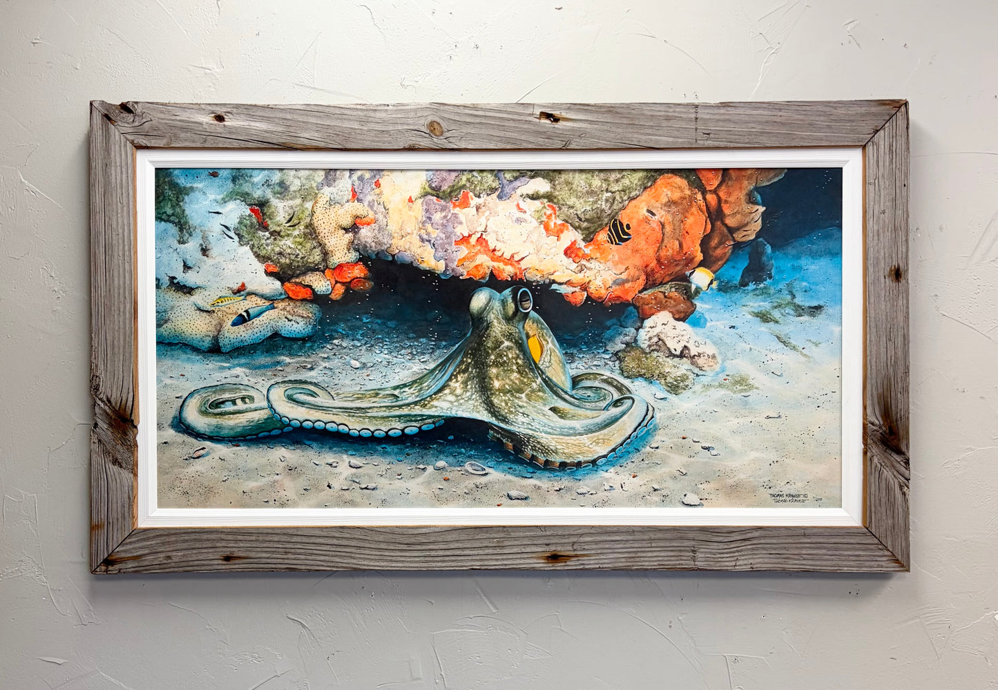 Octopus - Custom Rustic Handmade Frame - Ready to Ship