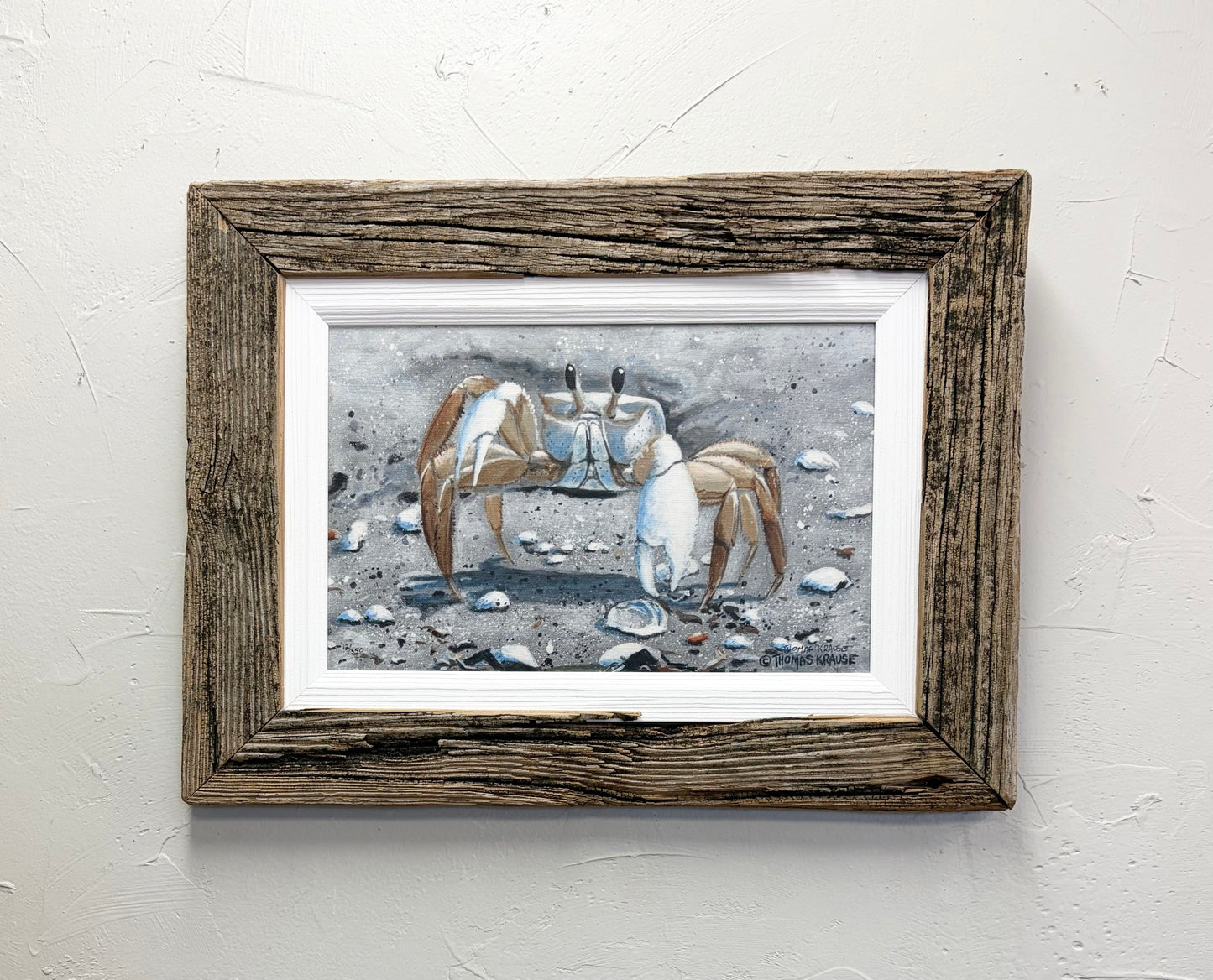Ghost Crab - Canvas - Custom Rustic Handmade Frame - Ready to Ship