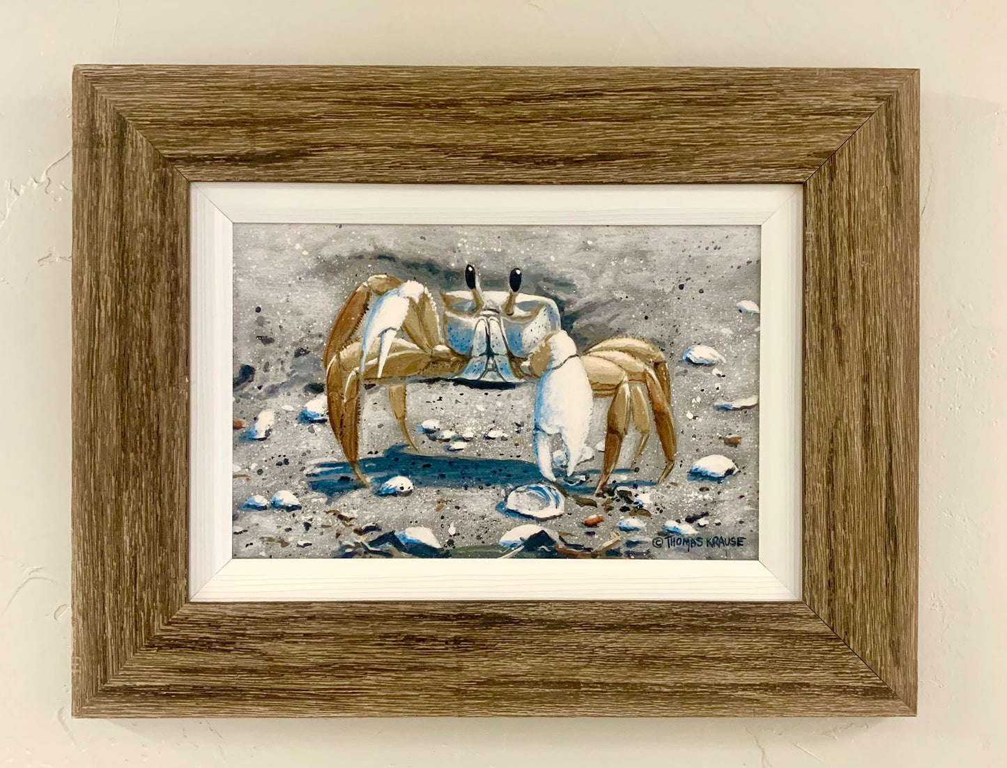 Ghost Crab - Canvas - Custom Rustic Handmade Frame - Ready to Ship