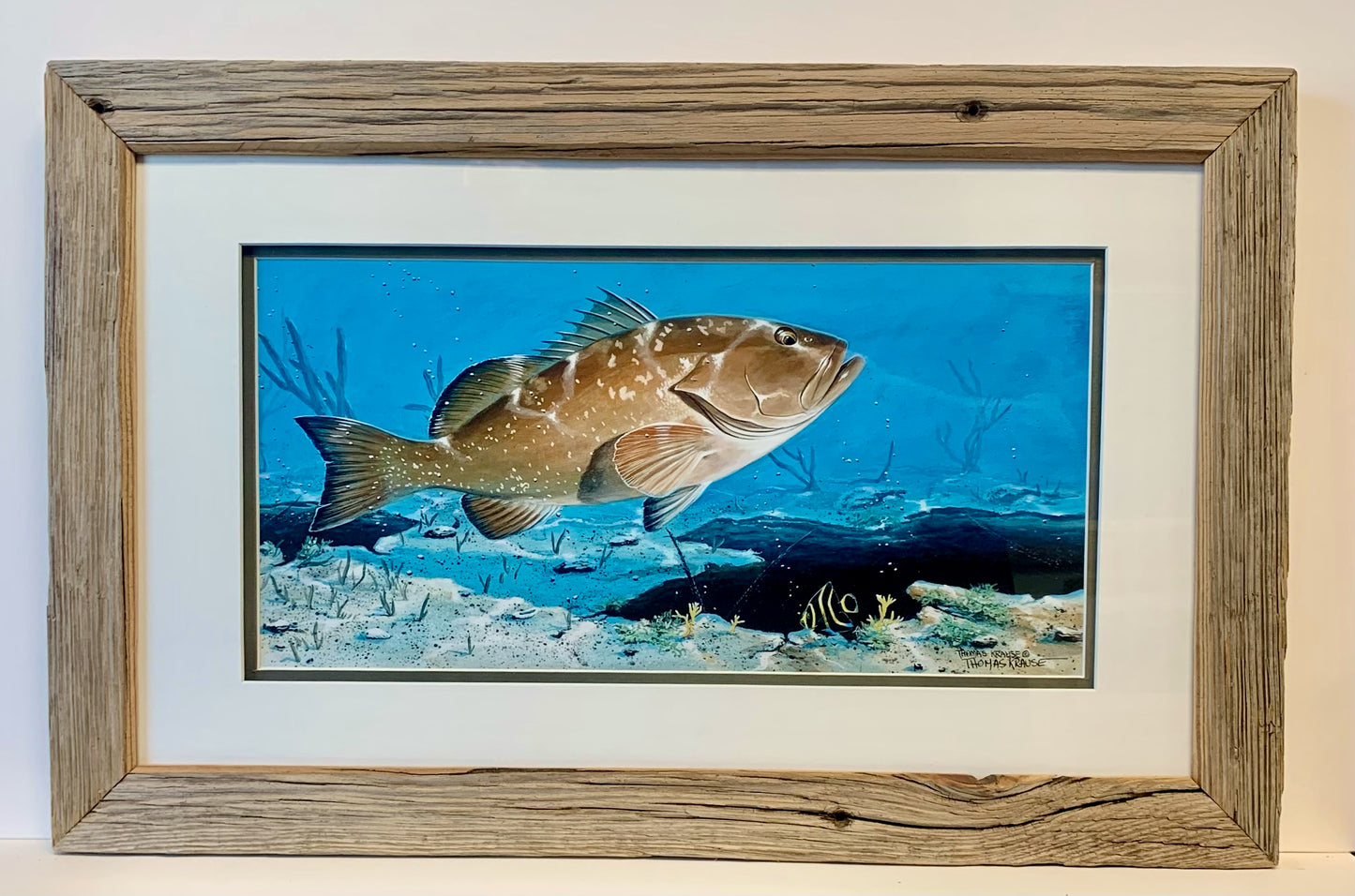 Red Grouper - Custom Rustic Handmade Frame - Ready to Ship