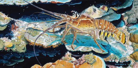 Spiny Lobster in Reef