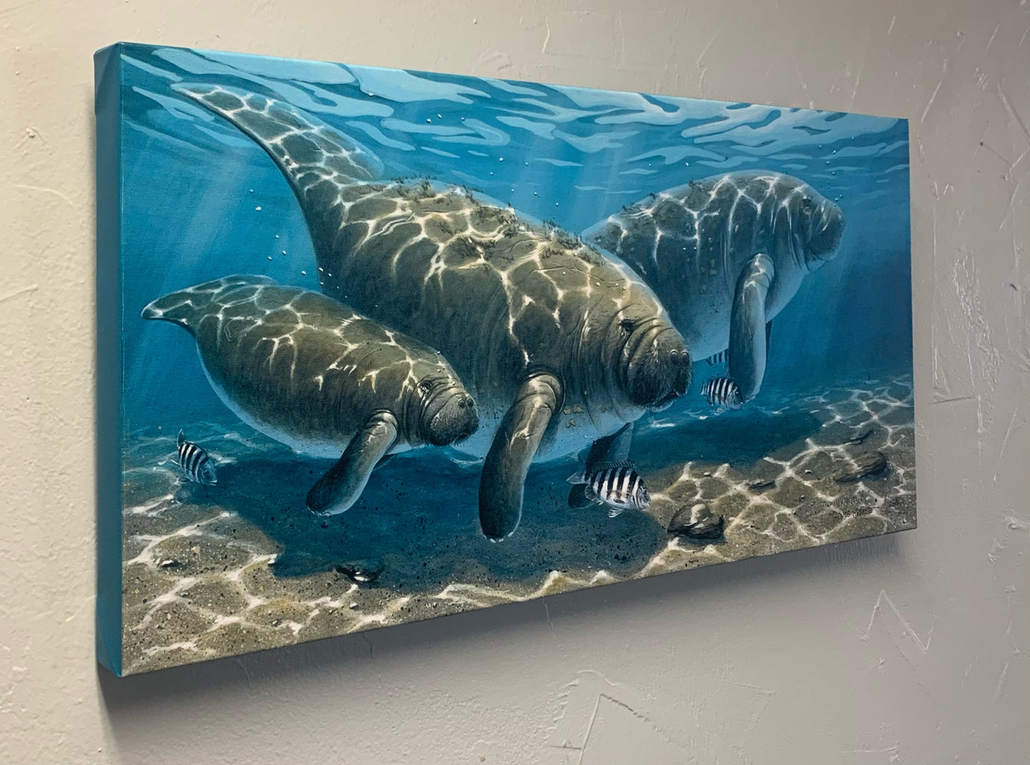 Manatee Family - Gallery Wrap Canvas - Ready to Ship