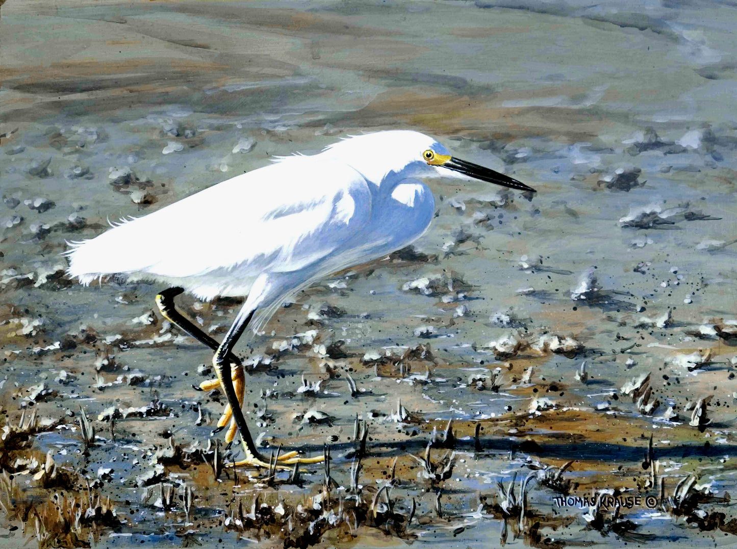 Snowy Egret Walk