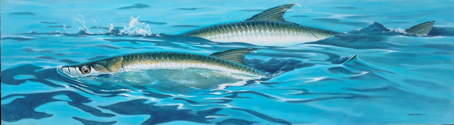 Surface Tarpon