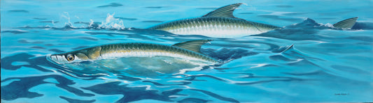 Surface Tarpon