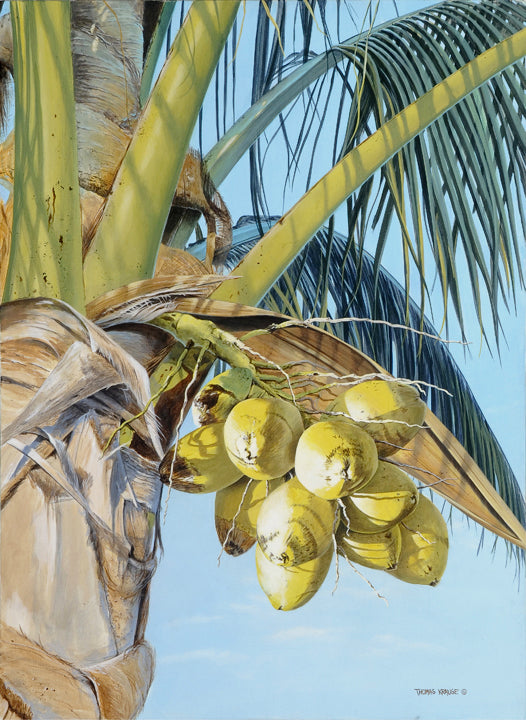 coconut palm painting Coconut Palm