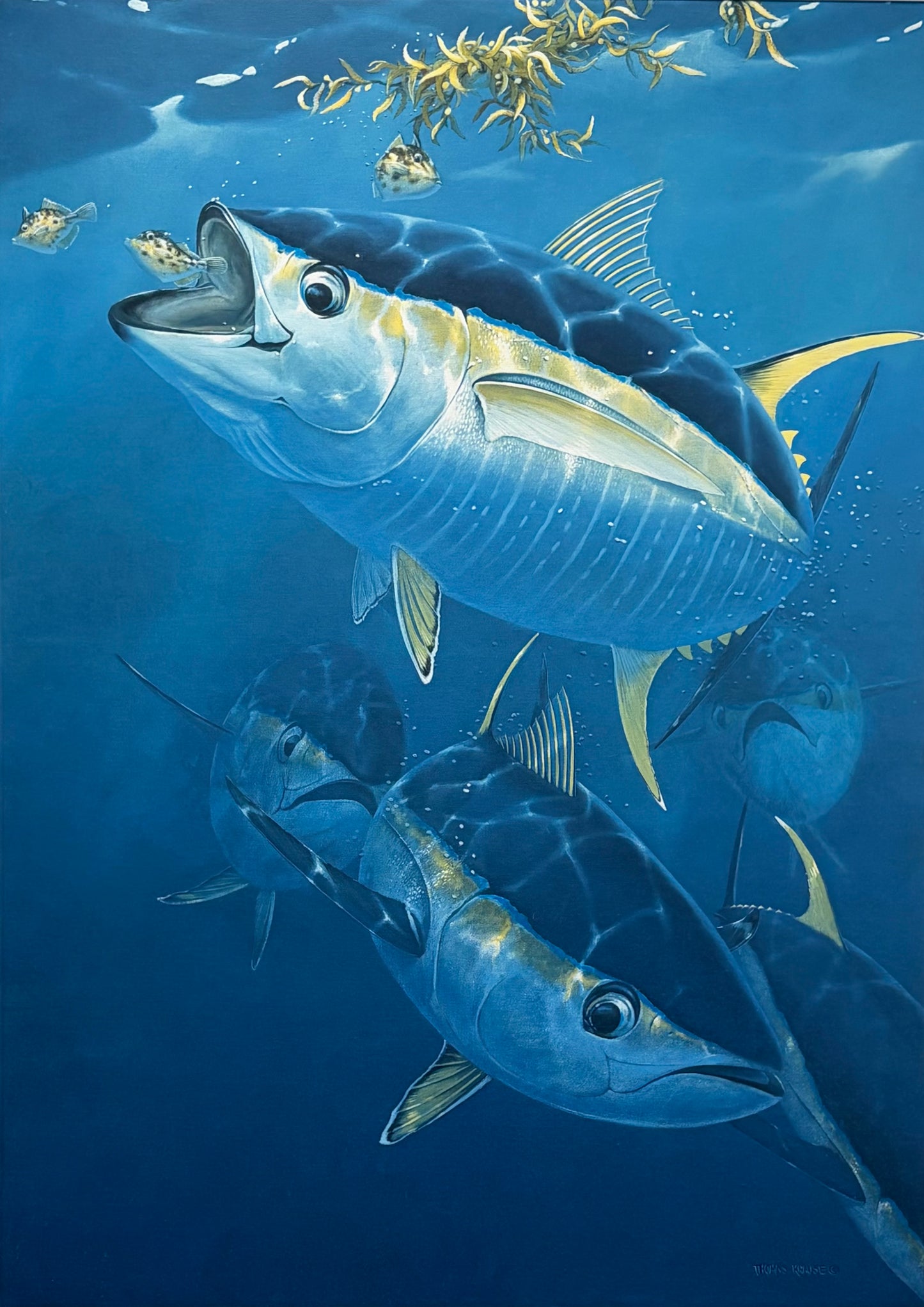 "Blue Water Rush" - Tunas
