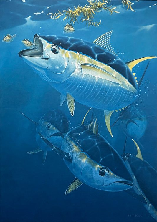 "Blue Water Rush" - Tunas