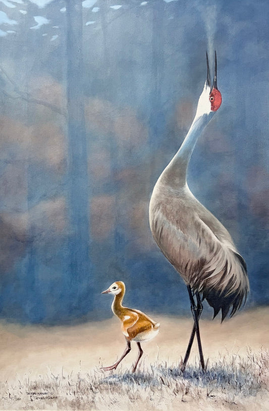 "Guiding the Way" - Sandhill Crane