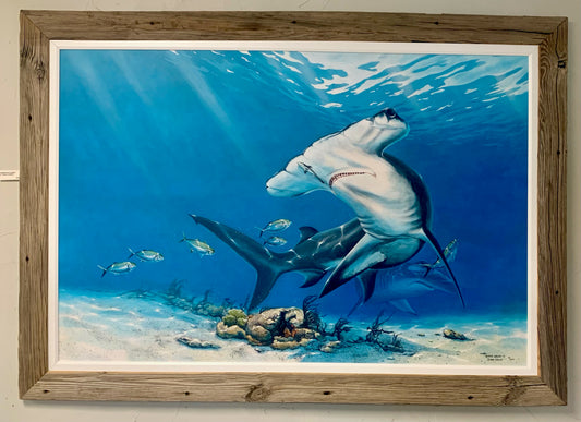 Hammerhead Shark - Gallery Wrap Canvas - Custom Rustic Handmade Frame - Ready to Ship