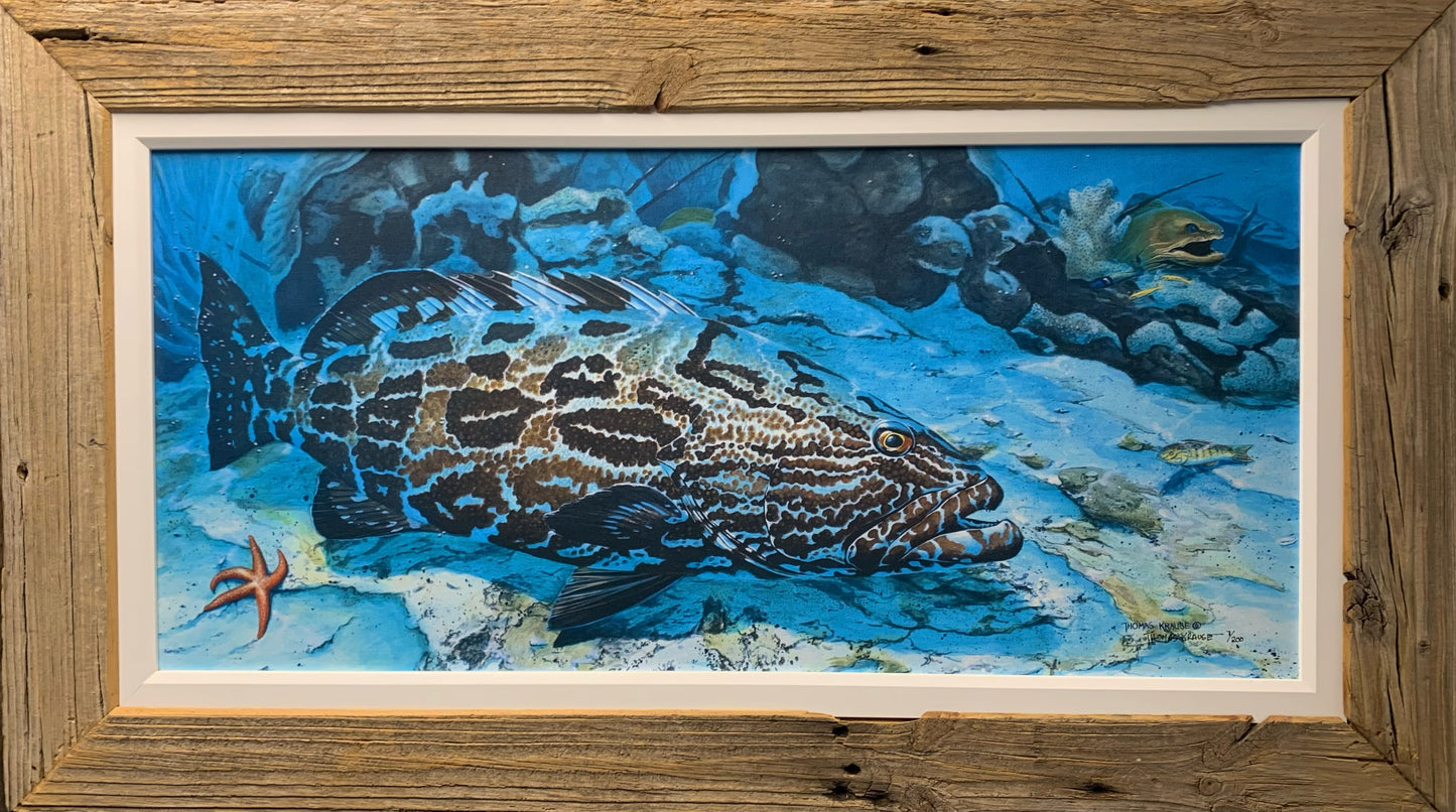 Black Grouper - Canvas - Custom Rustic Handmade Frame - Ready to Ship