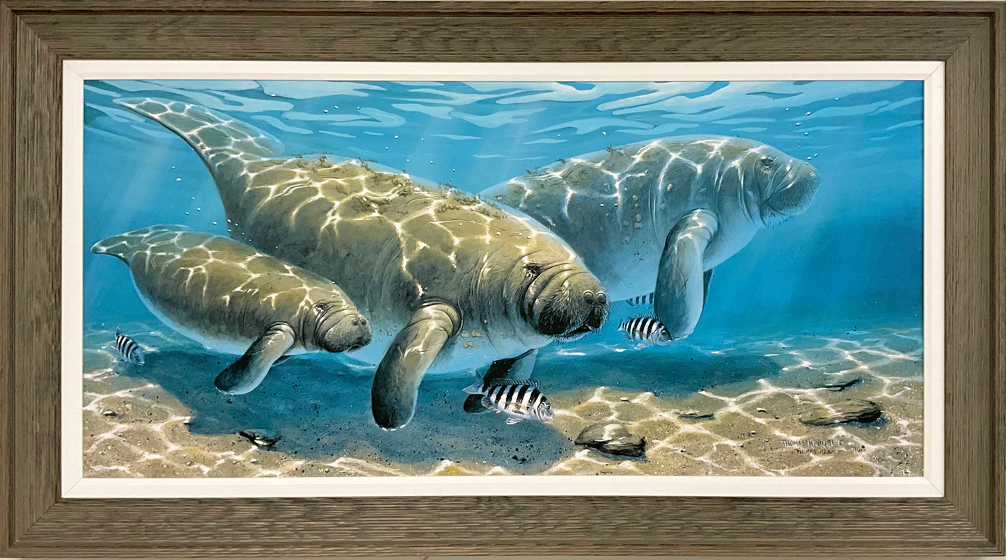 Manatee Family - Framed Canvas Edition, Signed and Numbered