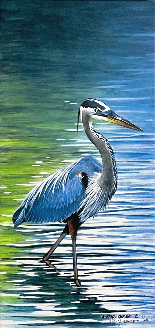 Blue Heron - Framed Gallery Wrap Canvas, Signed and Numbered