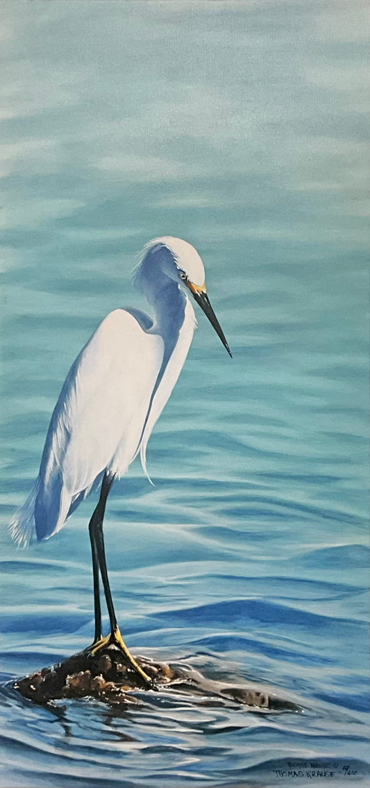 Snowy Egret - Gallery Wrap Canvas, Signed and Numbered