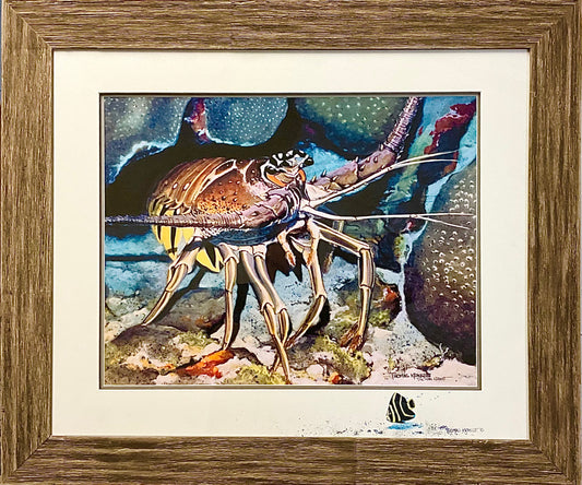 Spiny Lobster - Framed Print, Artist Embellishment
