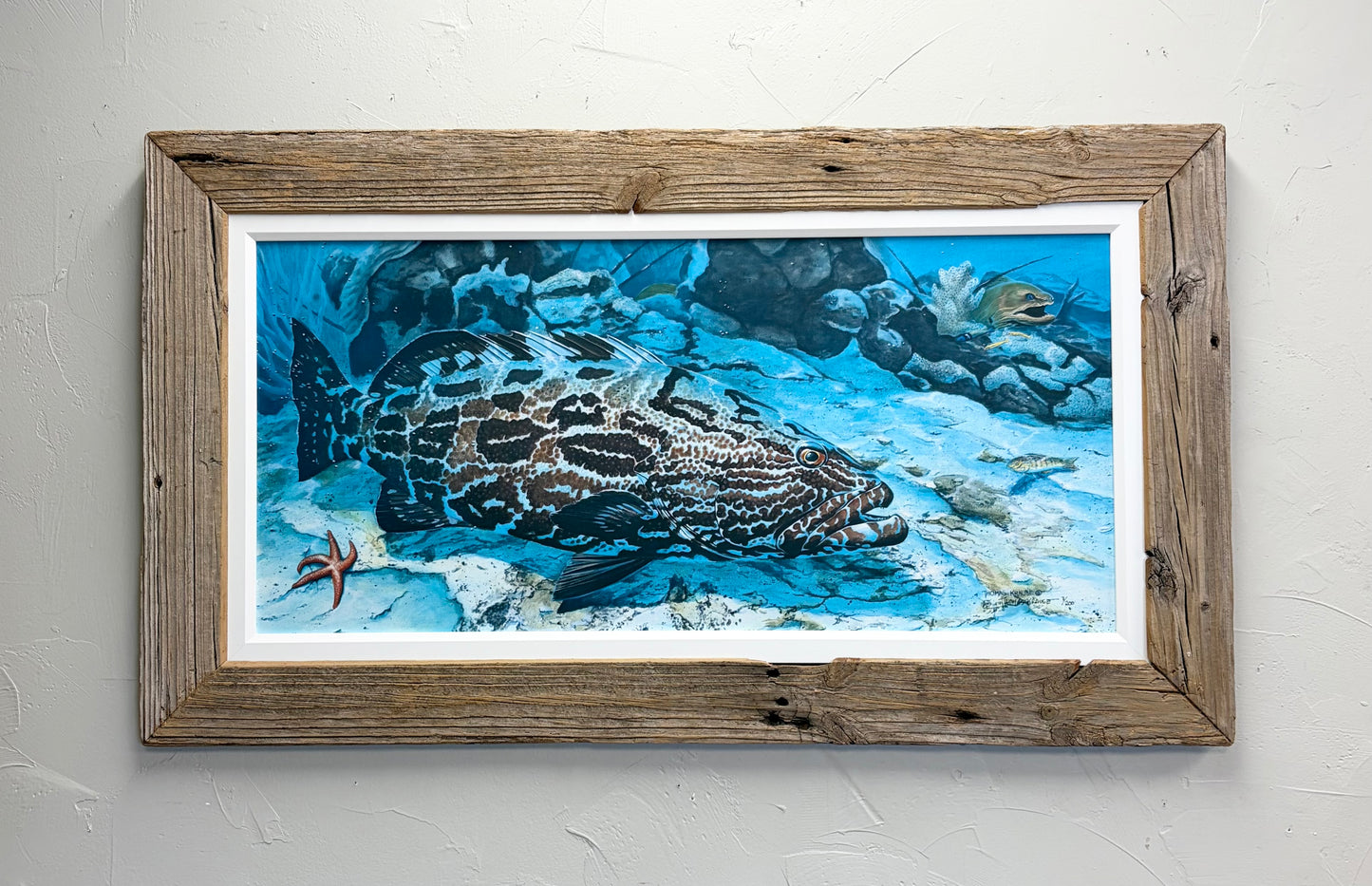 Black Grouper - Canvas - Custom Rustic Handmade Frame - Ready to Ship