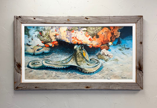 Octopus - Custom Rustic Handmade Frame - Ready to Ship