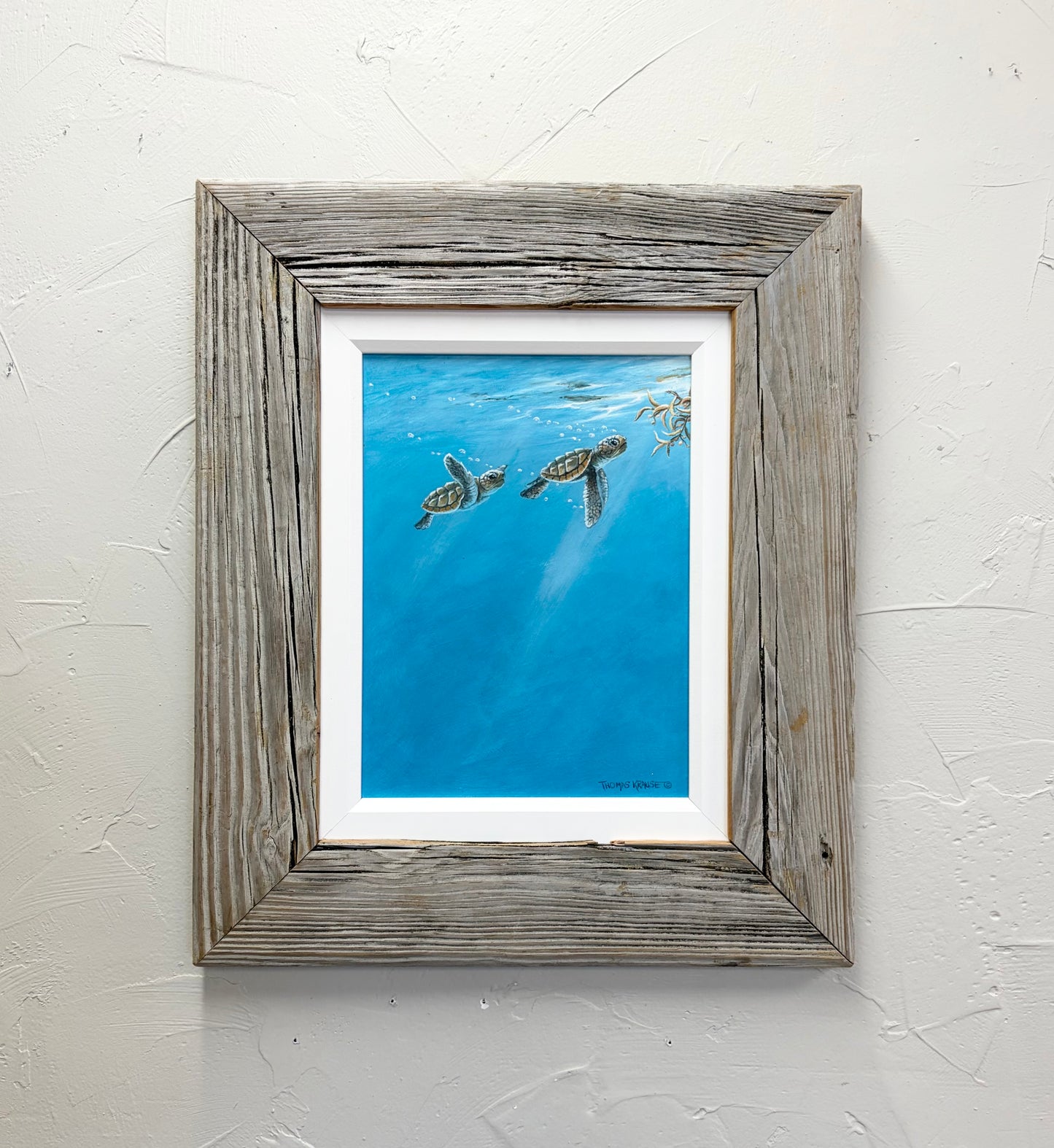 “Ocean Cradle” - Loggerhead Hatchlings - "Original"