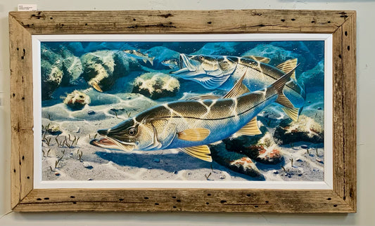 Snook - Canvas Edition - Signed and Numbered - Custom Rustic Handmade Frame