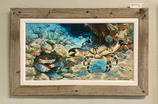 Stone Crab - Gallery Wrap Canvas - Custom Rustic Handmade Frame - Ready to Ship