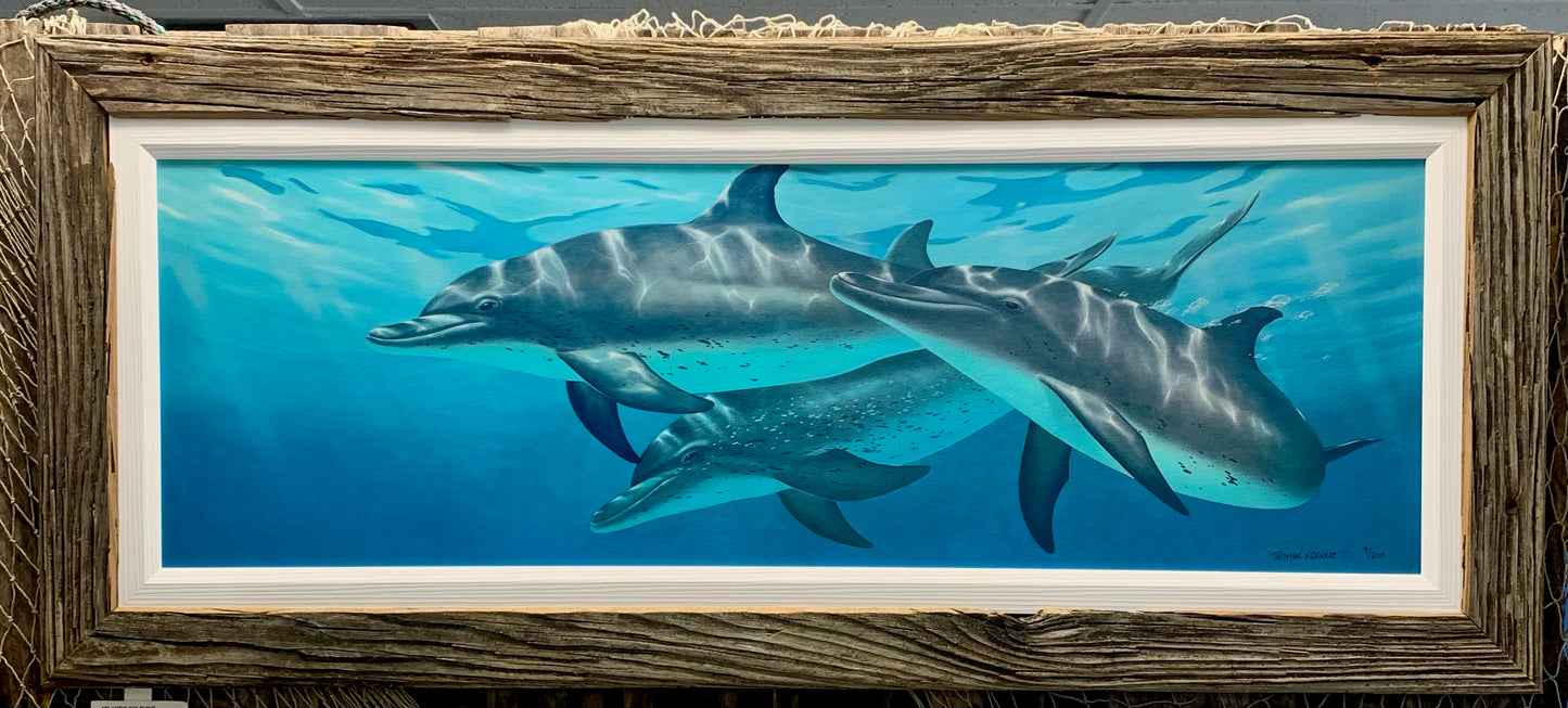 Atlantic Spotted Dolphins - Canvas - Custom Rustic Handmade Frame - Ready to Ship!