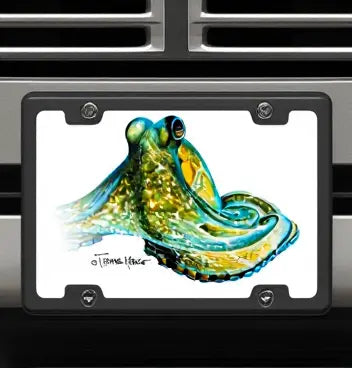 License Plates