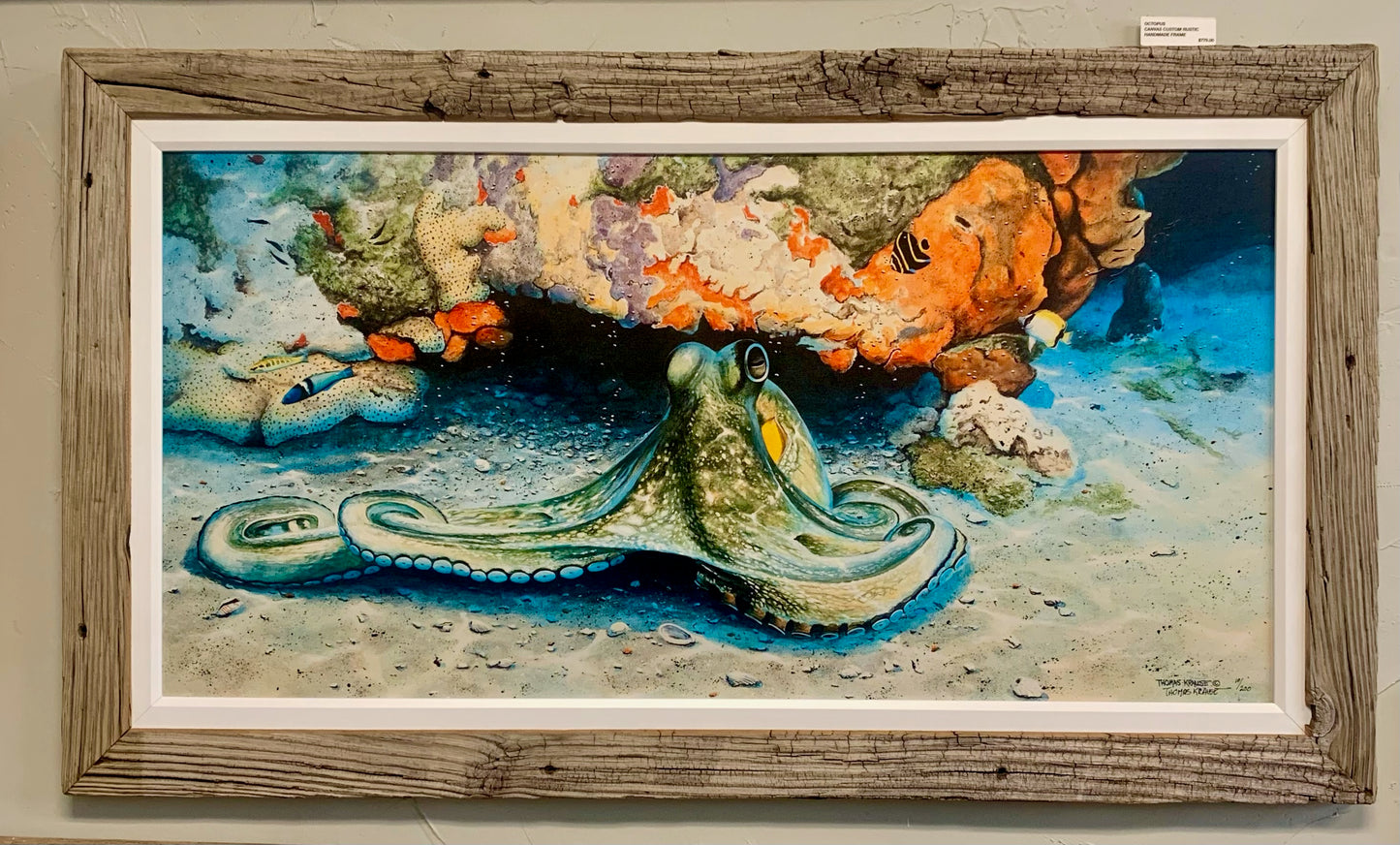 Octopus - Gallery Wrap Canvas - Custom Rustic Handmade Frame - Ready to Ship