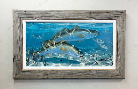 “Spotted Sea Trout” - "Original"