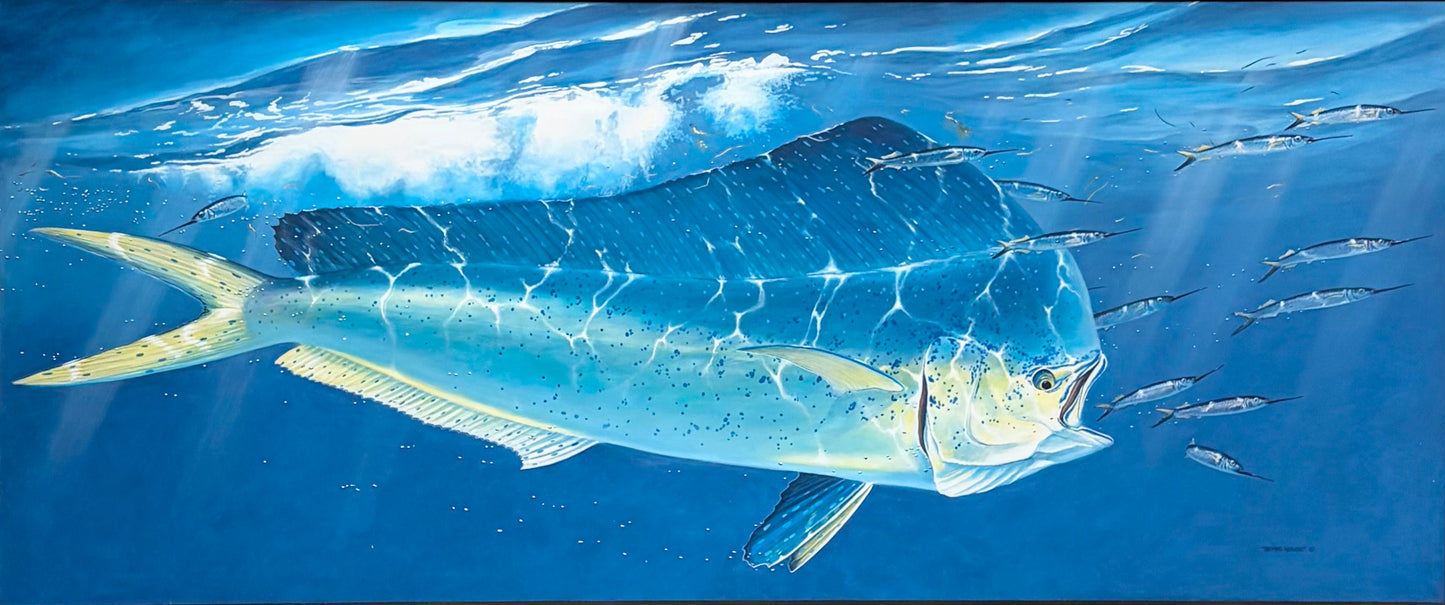 "Surface Strike" - Bull Dolphin