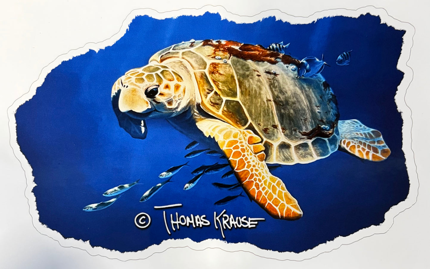 Turtle Decal — Thomas Krause Artist Series
